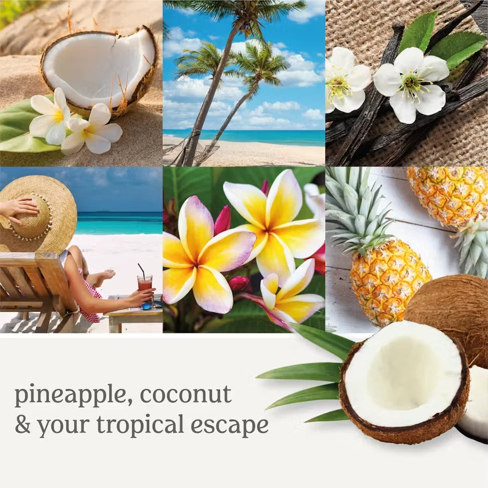 coconut-beach