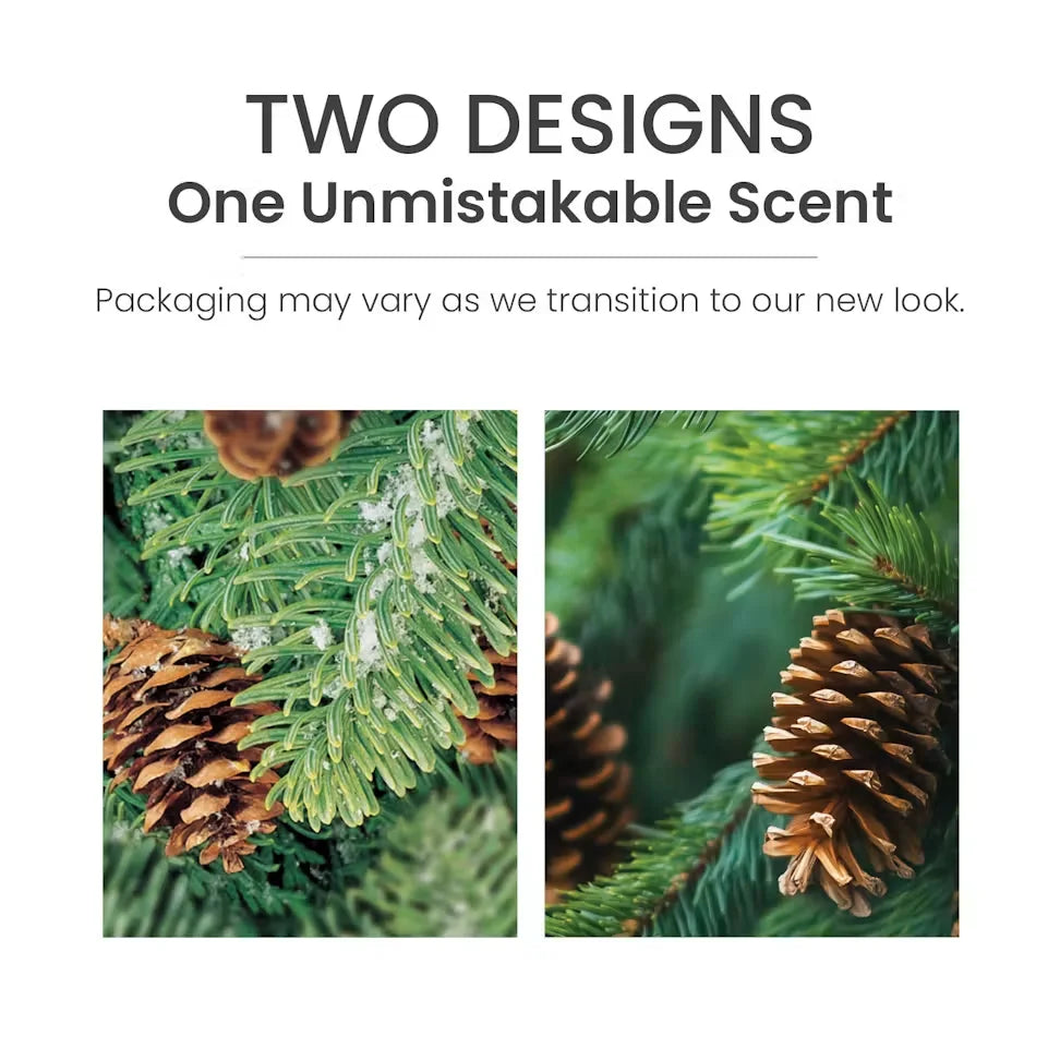balsam-cedar