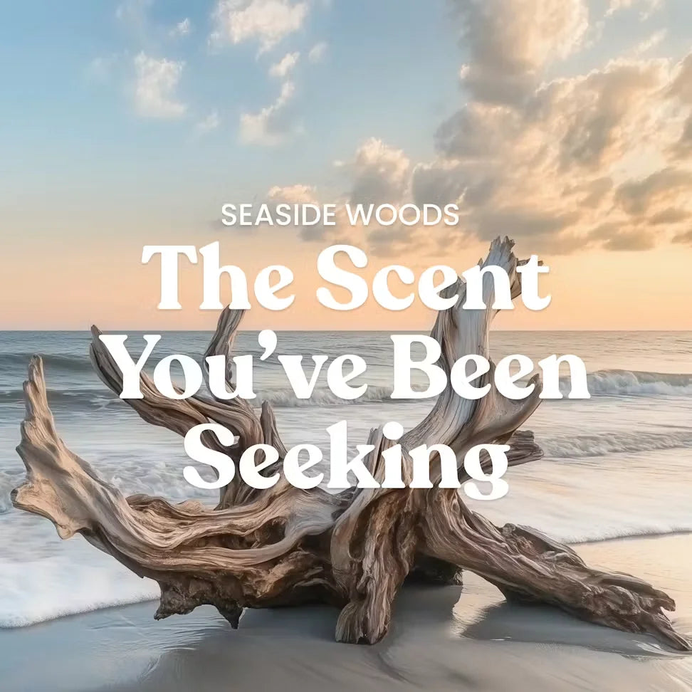seaside-woods