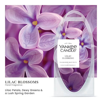 lilac-blossoms