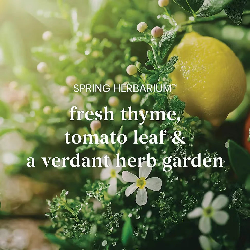 spring-herbarium