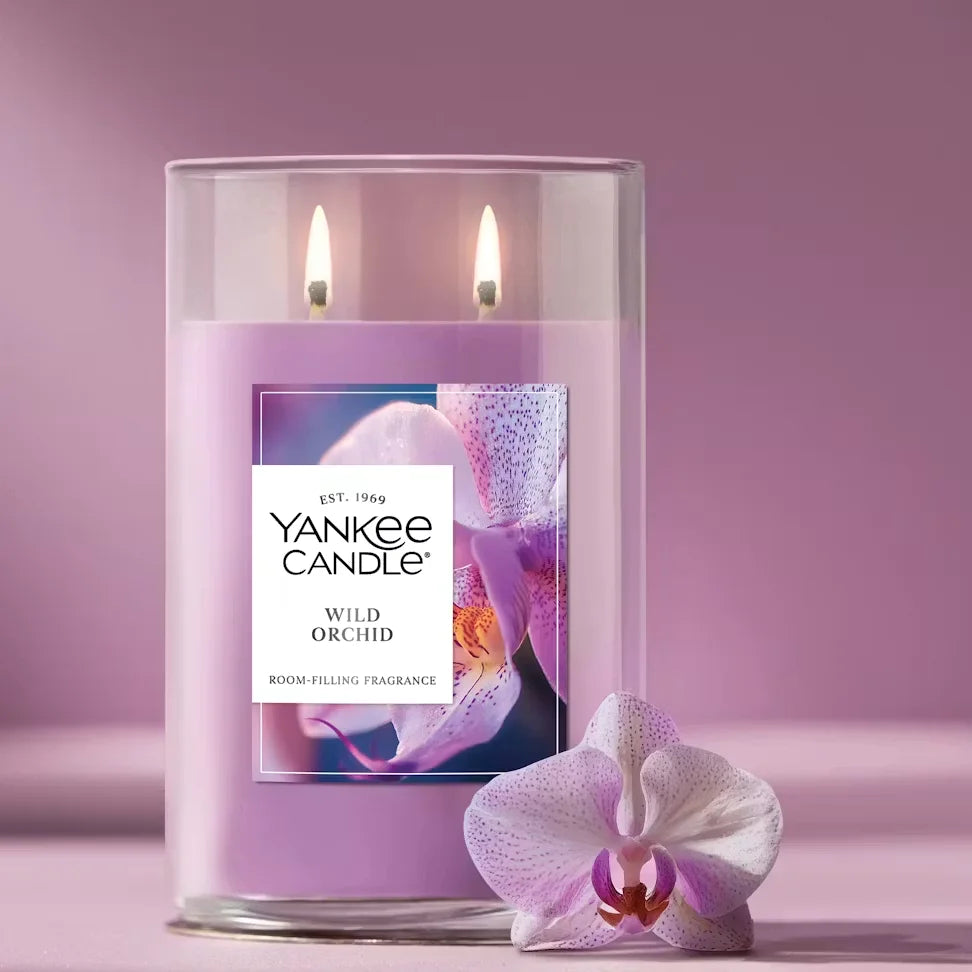 wild-orchid
