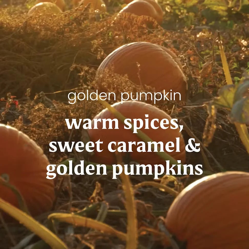golden-pumpkin