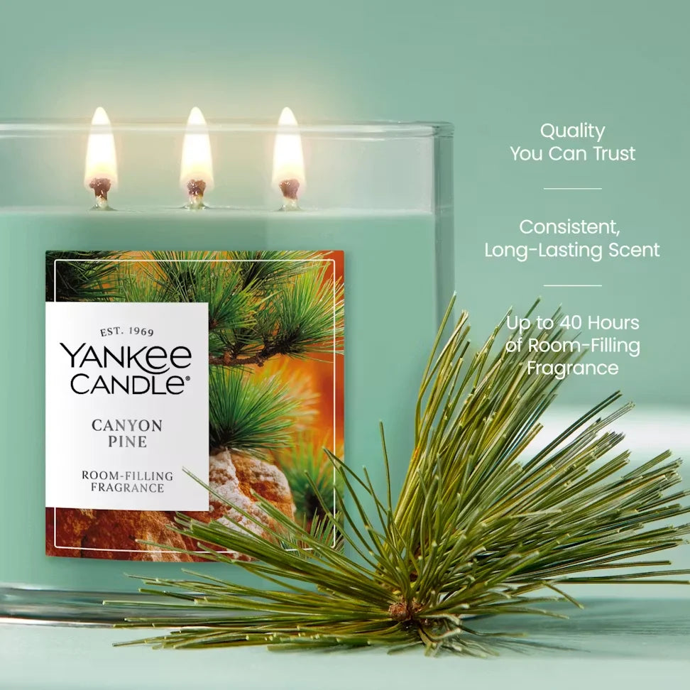 canyon-pine