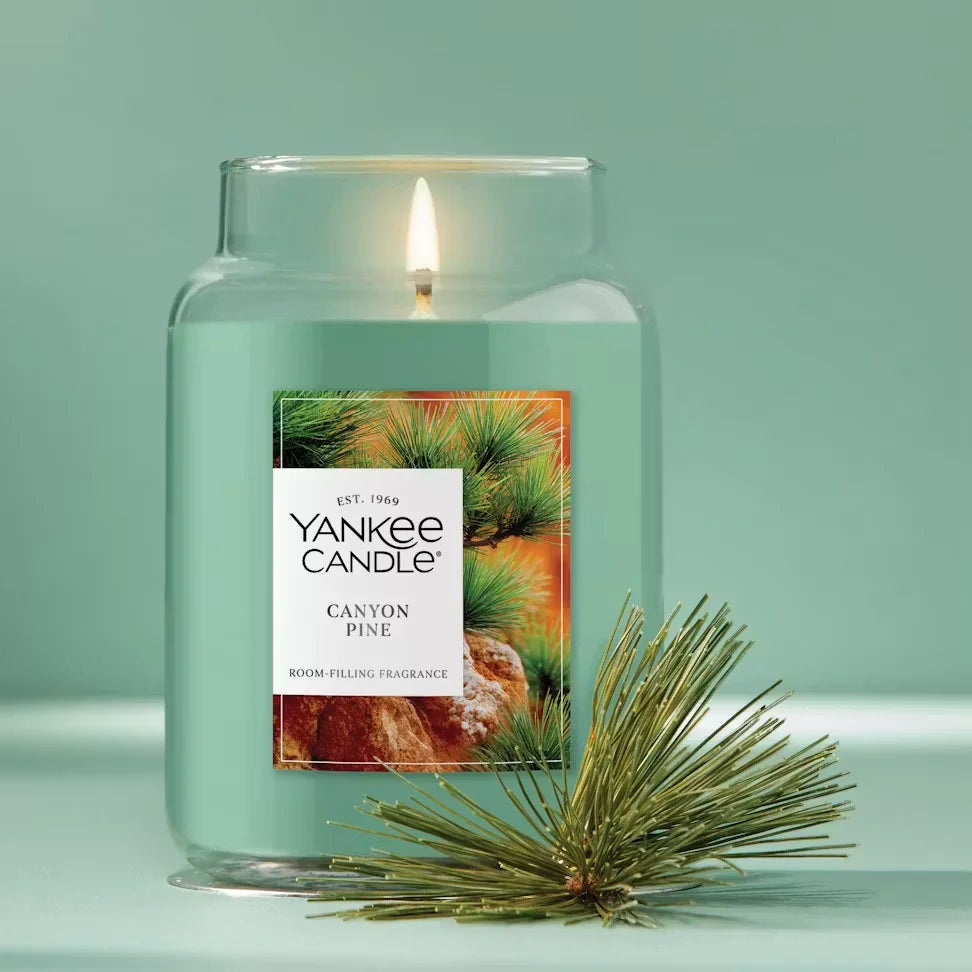 canyon-pine