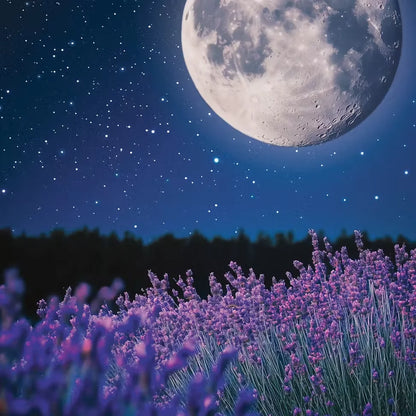 midsummers-night