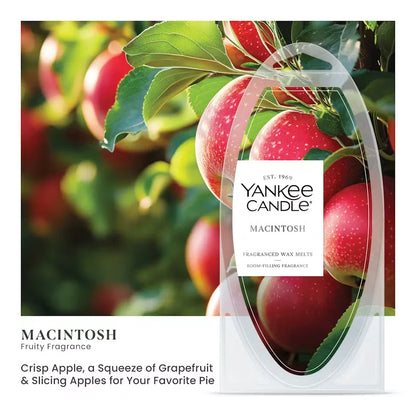 macintosh