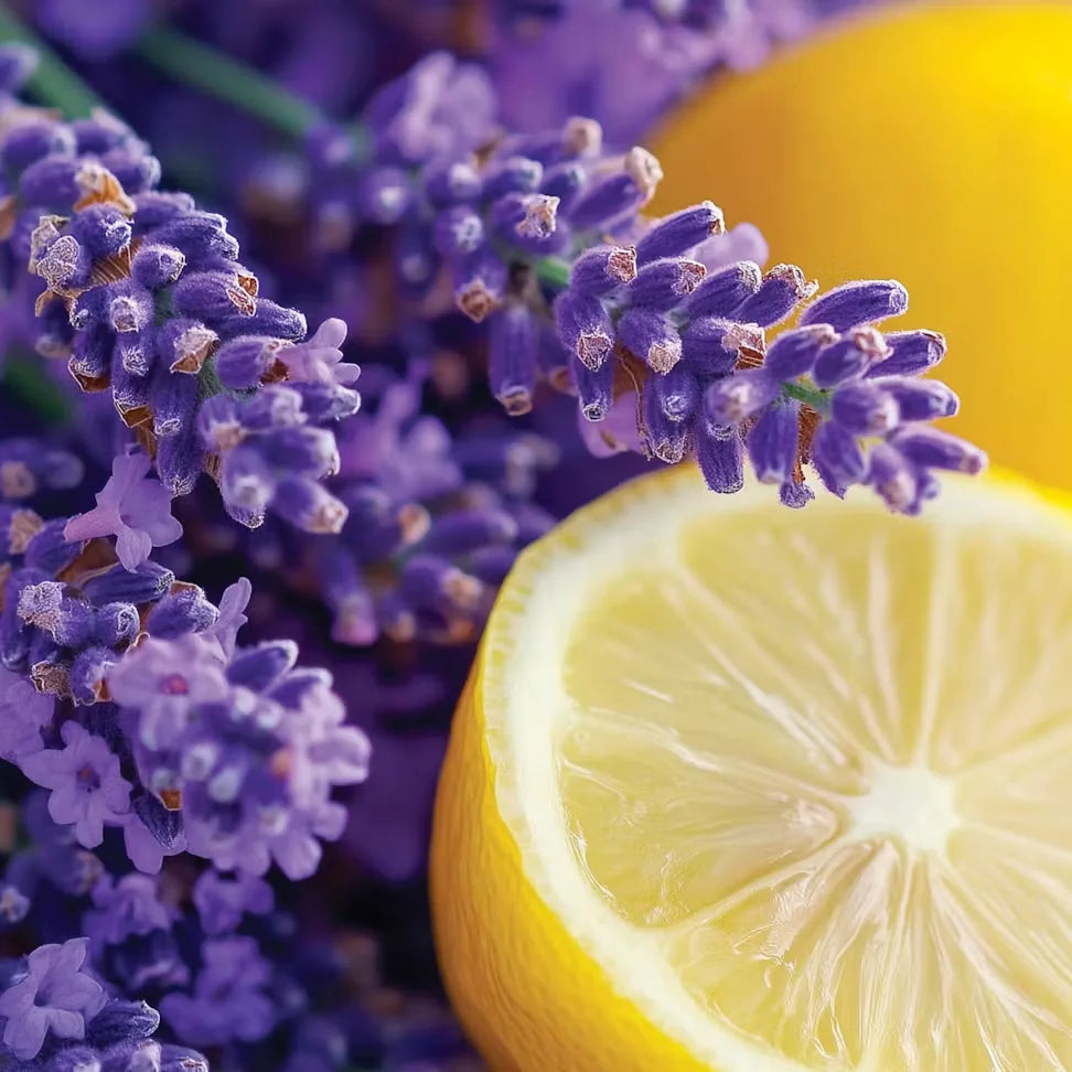 lemon-lavender