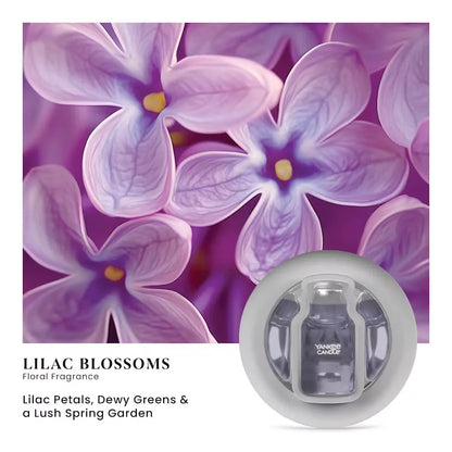 lilac-blossoms