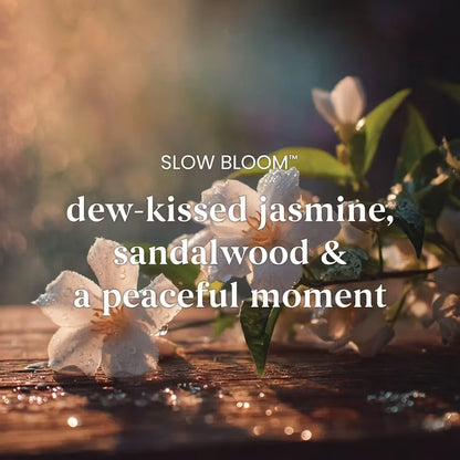 slow-bloom