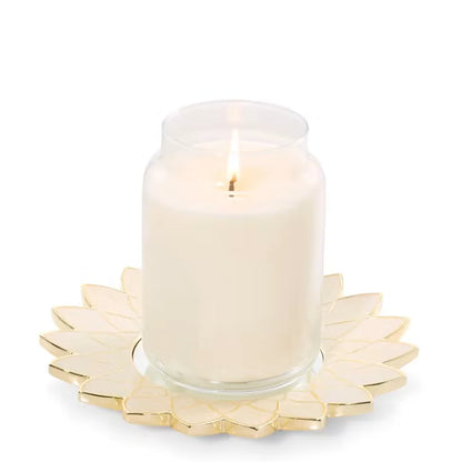 lustra-shell-candle-tray