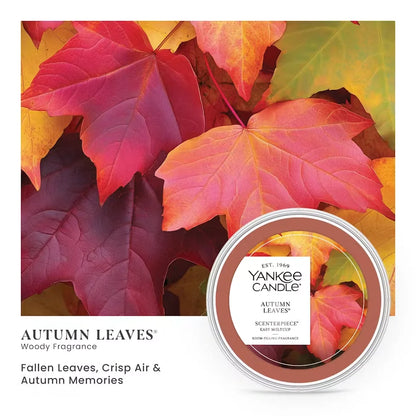 autumn-leaves
