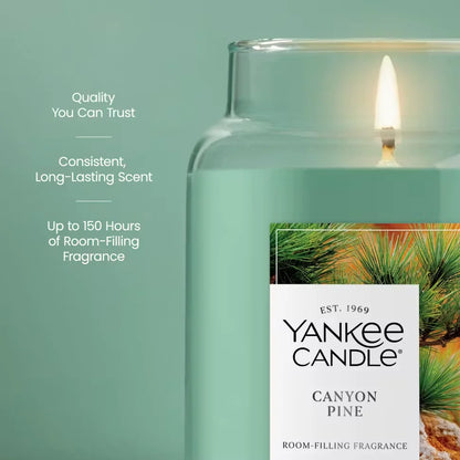 canyon-pine
