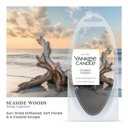 seaside-woods