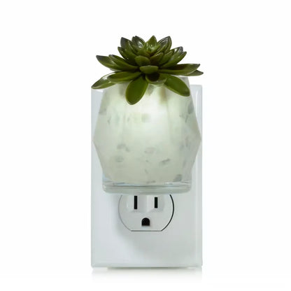 faceted-succulent-scentplug-diffuser-with-light