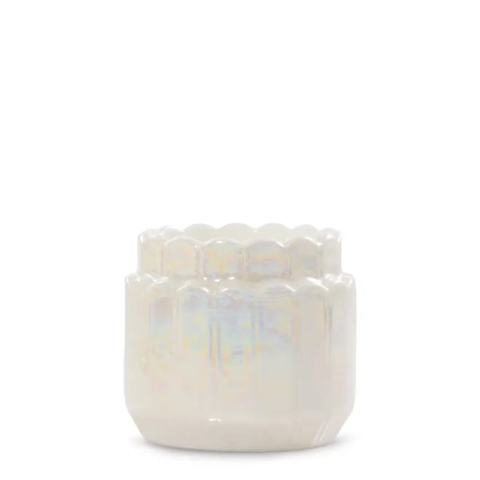 lustra-shell-tea-light-candle-holder