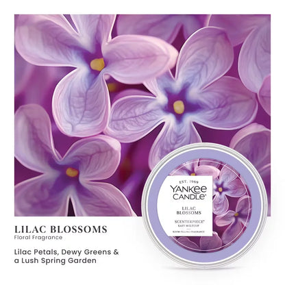 lilac-blossoms