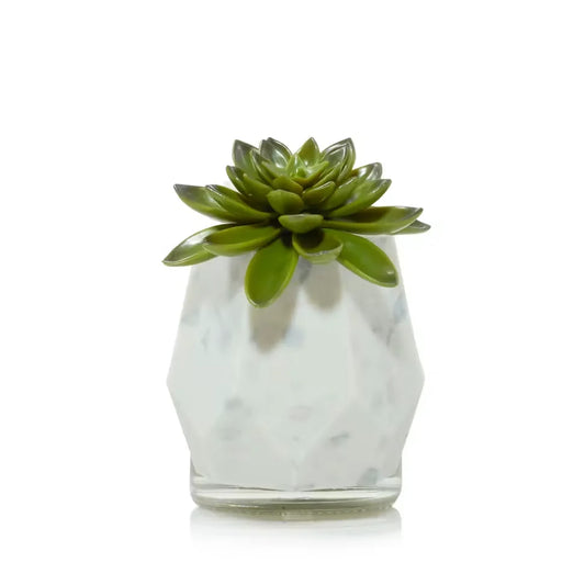 faceted-succulent-scentplug-diffuser-with-light